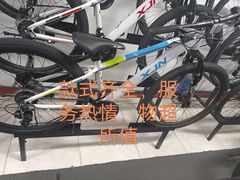 -道路口单车爱瓦士dahon大行