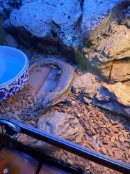 -酷嗒动物文化乐园(cutezoo西溪乐天城店)