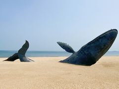 -烟台金沙滩海滨公园