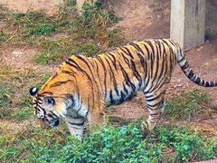 -大连森林动物园