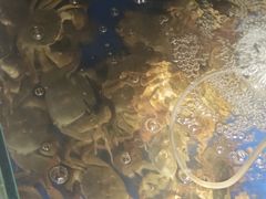 -阳澄湖大闸蟹·琼灵阁牌品牌连锁(吴中总店)