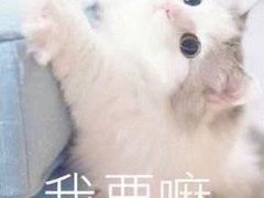 -miss密斯韩餐(平阳景苑店)