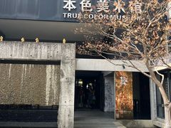 -苏州本色美术馆