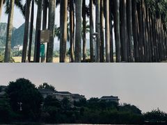 -南宁花花大世界景区