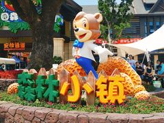 -苏州乐园森林水世界