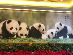 -成都驻京办餐厅(蜀都宾馆店)