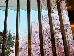 -桂满陇·海市蜃楼·黑金(国金店)