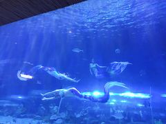 -华夏文旅西安度假区