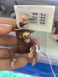 -KIDSLAND(北京蓝色港湾店)
