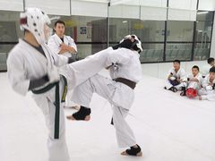 -极真空手道修远道场