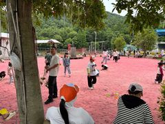 -石燕湖生态旅游景区