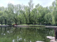 -玲珑塔公园
