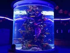 -石家庄市动物园