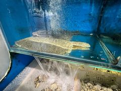 -潮庭·大连海鲜·炭火烧烤·扇贝王(大连店)