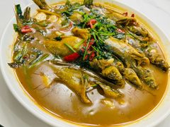 -杨辉饭店
