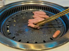 -杨记齐齐哈尔烤肉(总店)