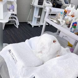 -MJ skin care国际皮肤管理中心