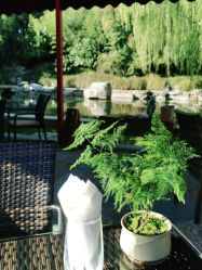 -颐和宾馆宴会厅