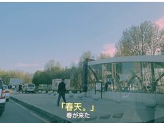 -丁香湖公园