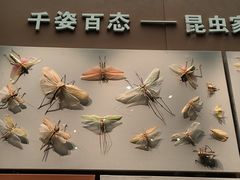 -天津自然博物馆