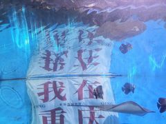 -重庆欢乐海底世界