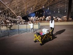 -世界恐龙谷景区