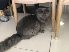 -平行世界·猫咖(首经贸店)