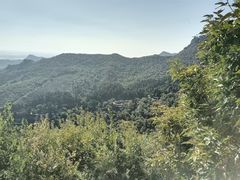 -大芦花风景区