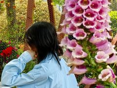 -东方体育中心(地铁站)