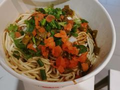 -薛记襄阳香辣牛肉面(平安路店)