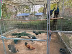 点击看大图 -萌宠亲子动物乐园(槐房万达店)