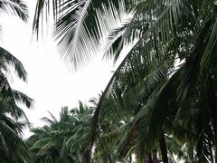 -白沙门生态公园