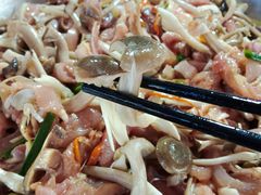 -大眼强五杯鹅·桑拿鸡煲