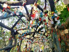 -镇江市南山风景名胜区竹林景区