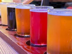 -Famous肥猫墨西哥音乐餐吧(五棵松华熙LIVE店)