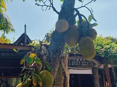 -西双版纳傣族园