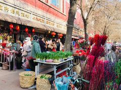 -宝鸡东道花鸟鱼虫市场(吉利花园商场店)