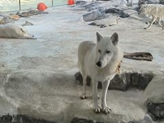 -珠海长隆海洋王国