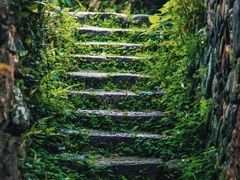 -雁荡山三折瀑景区