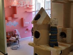 -藏猫猫咖啡主题馆(中央大道店)