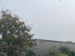 -秦始皇帝陵博物院-丽山园