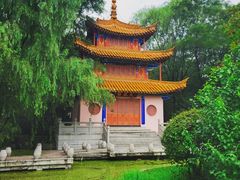 -沈阳植物园