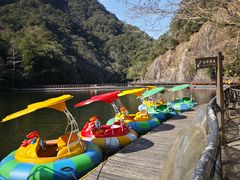 -龙湾潭国家森林公园