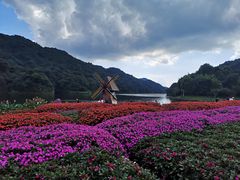-广州市石门国家森林公园