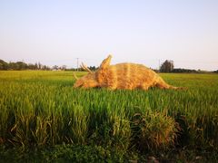-嘉北郊野公园