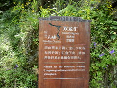 -岳西天峡风景区