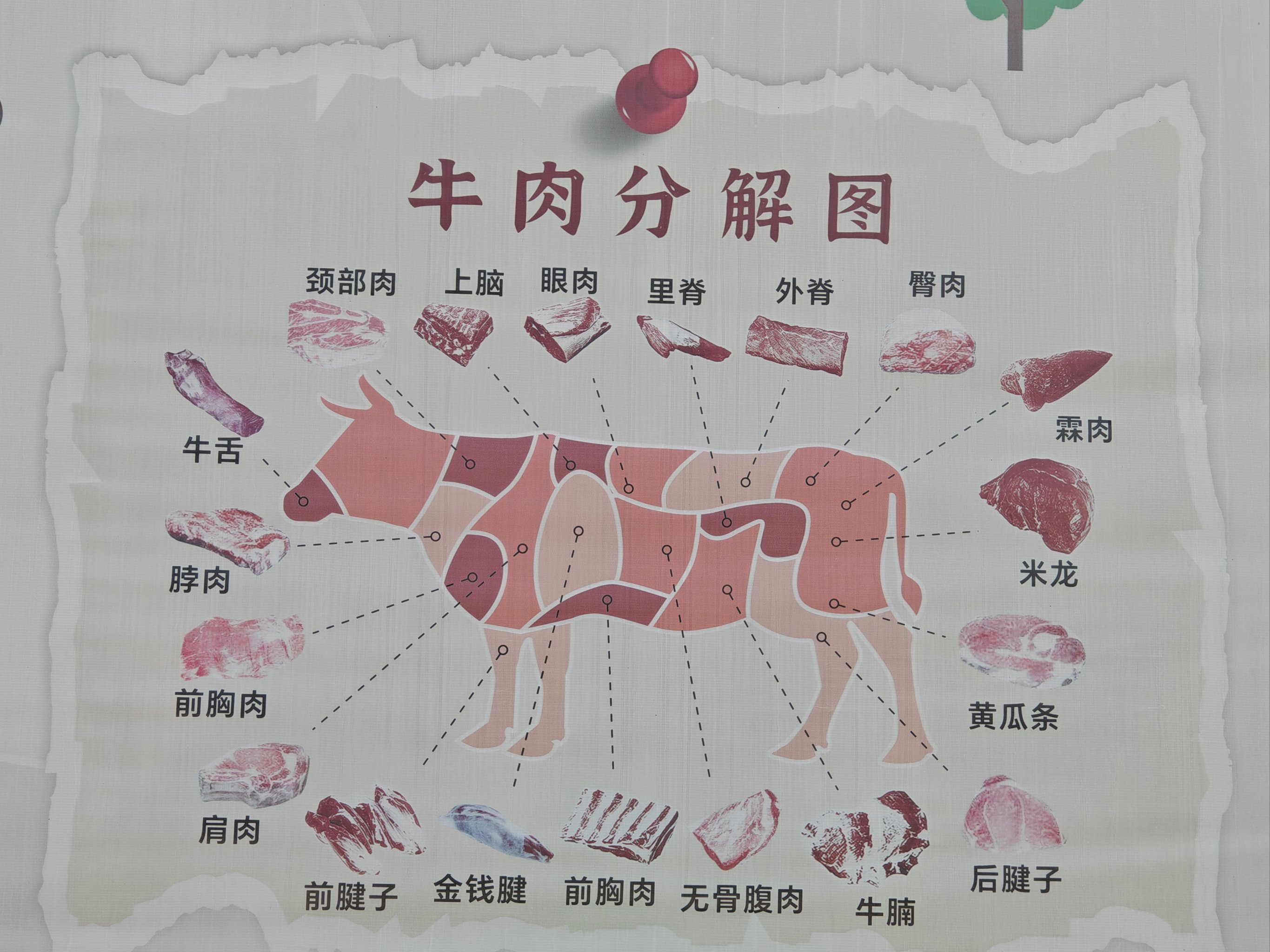 牛肉分解图