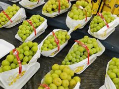 -全而廉(靖宇中路店)