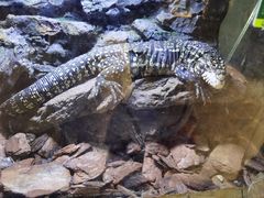 -海南热带野生动植物园