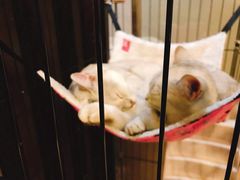 -津菜宋记老房子(鼓楼店)